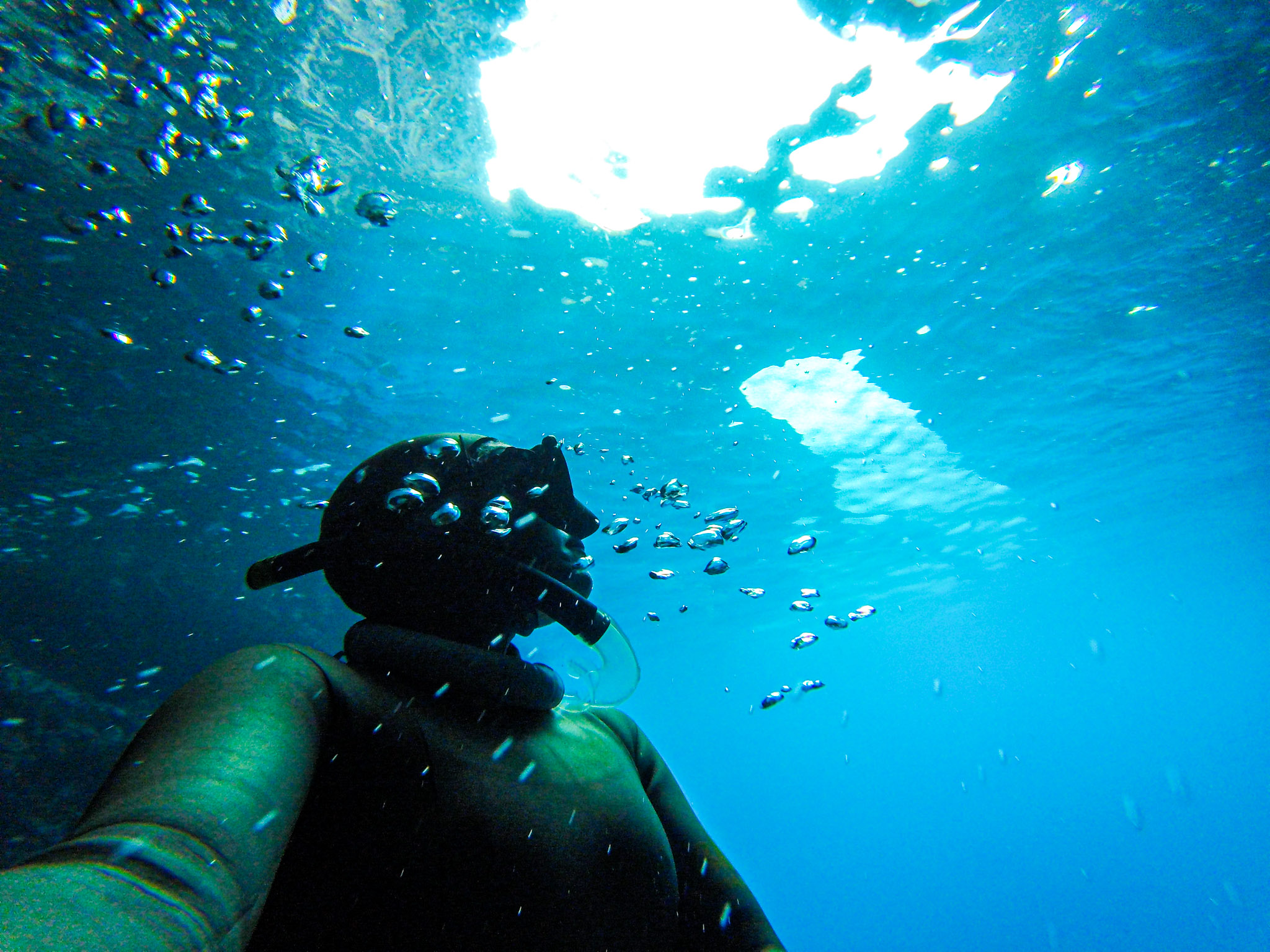 Azores Freediving gallery photo 3