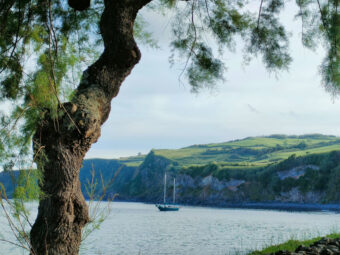 Djelali sail boat nice landscape