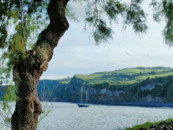 Djelali Voilier Joli Mouillage