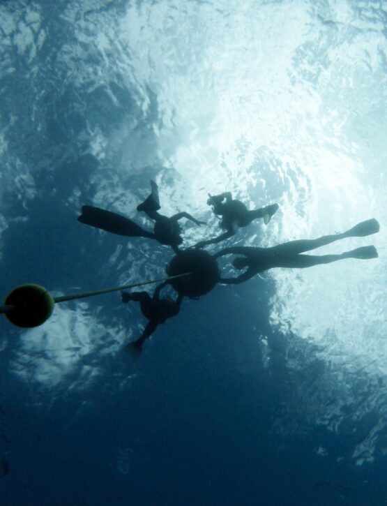Atelier Apnée Açores