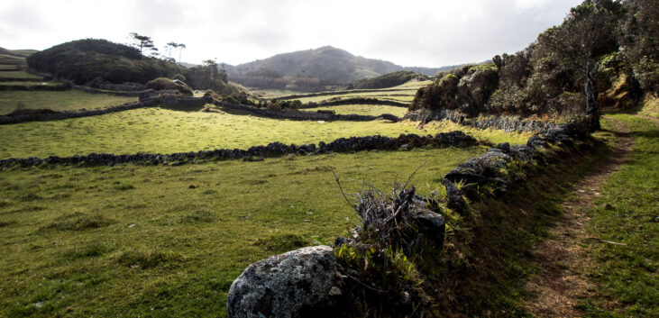 collines santa maria açores