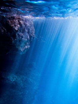 Grotte Bleue Apnée Açores