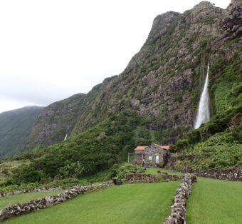 Cascade Florès Wild