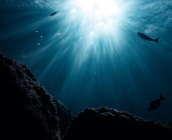 Poisson grotte contre jour açores