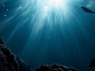 Poisson grotte contre jour açores